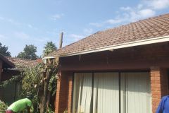 Embassy-House-514-01