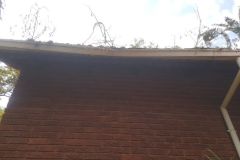 Embassy-House-514-02