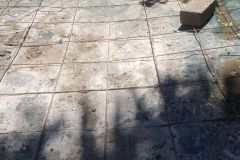 Maruis-Steyn-Park-06