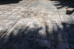 Maruis-Steyn-Park-07