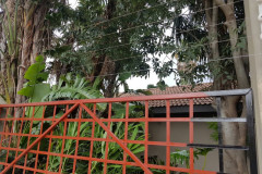 embassy-39