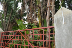 embassy-40