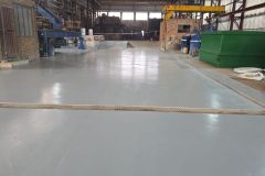 Frankwen-Forge-new-plant-06