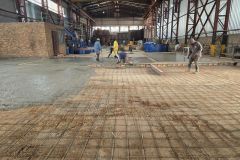Frankwen-Forge-new-plant-20