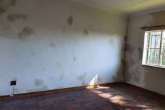 Linden-14