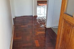 Linden-19